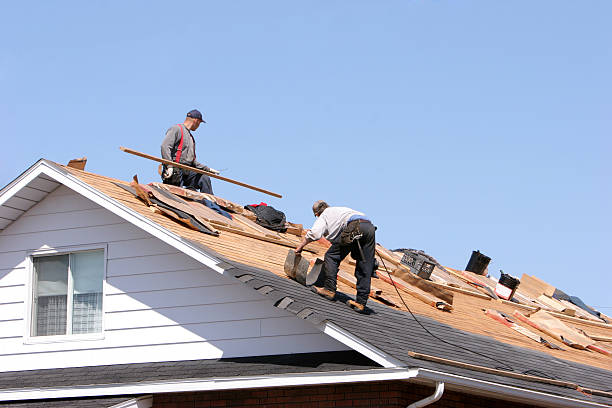 Best Asphalt Shingles Roofing  in Bells, TN